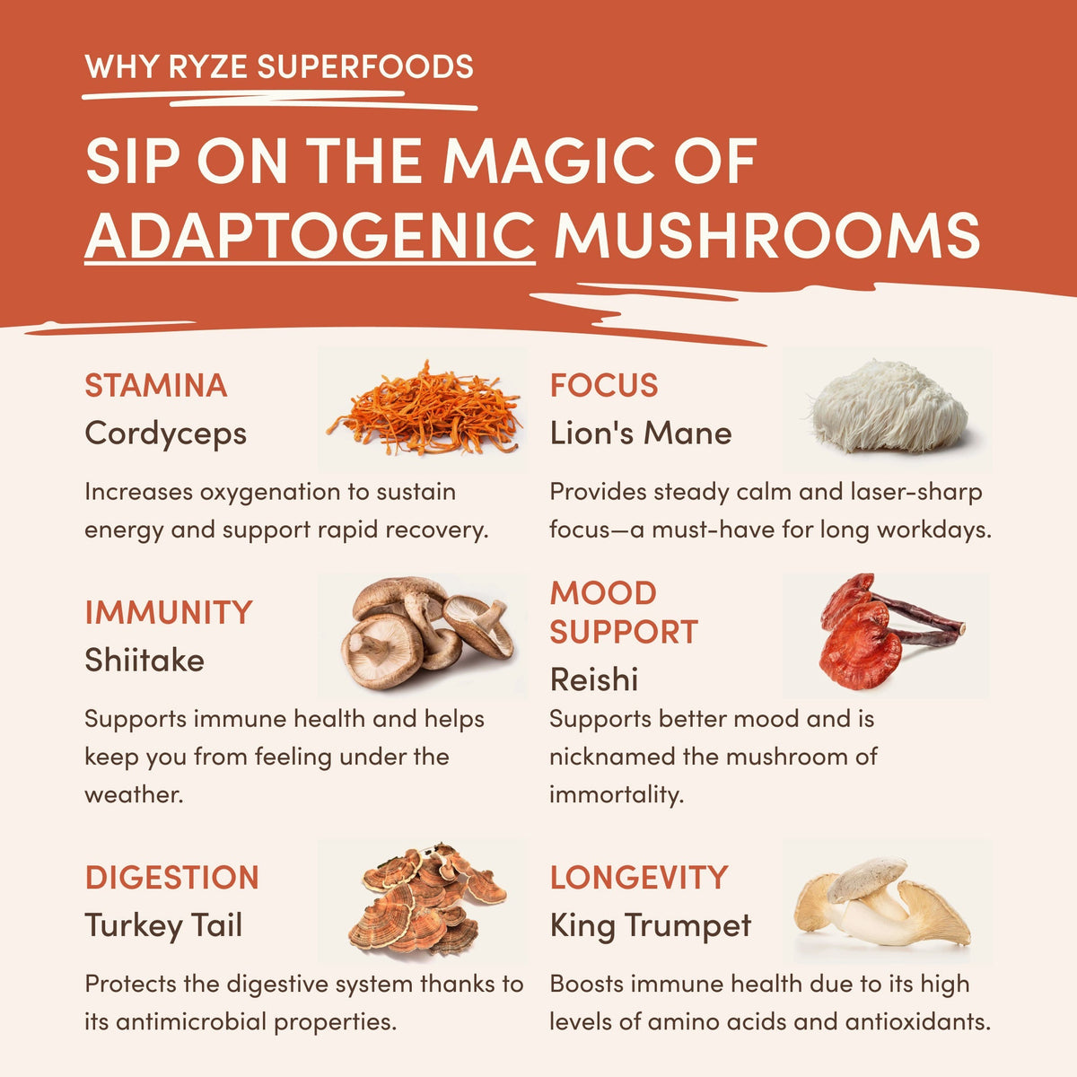 Superfood Creamer Add-on (SPECIAL PRICING)